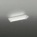 コイズミ照明 AR46966L1 LED非常用照明器具 LED付 昼白色 逆富士1灯 充電モニタ付 FL20W相当 白色