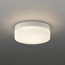 コイズミ照明 AR49373L LED防雨非常用照明 LED一体型 電球色 直付・壁付取付 充電モニタ付 FCL30W相当