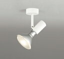 オーデリック OS256097 スポットライト LED LED 非調光 ランプ別売 調光器別売 ホワイト
