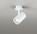 オーデリック OS256491 スポットライト LED 調光 LED 連続調光 フレンジタイプ ランプ別売 調光器別売 ホワイト