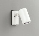 オーデリック OG254708P1 スポットライト 屋外用 LED エクステリアスポットライト LED一体型 昼白色 ビーム球150W相当 ワイド配光 防雨型 ...