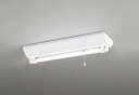 オーデリック OR037006P1 非常灯・誘導灯 LEDランプ 昼白色 直管形LED 電池内蔵形
