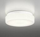 オーデリック OW269011LD(ランプ別梱) バスルームライト 非調光 LEDランプ 電球色 防雨・防湿型 ホワイト