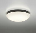 オーデリック OW269014LD(ランプ別梱) バスルームライト 非調光 LEDランプ 電球色 防雨・防湿型 ブラック