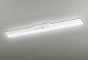 オーデリック XR506002R4A(LED光源ユニット別梱) ベースライト W150 非調光 リモコン別売 LEDユニット交換型 昼光色 直付型