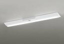 オーデリック XR506005R1B(LED光源ユニット別梱) ベースライト W230 非調光 リモコン別売 LEDユニット交換型 昼白色 直付型