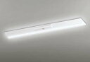 オーデリック XR506005R2A(LED光源ユニット別梱) ベースライト W230 非調光 リモコン別売 LEDユニット交換型 昼光色 直付型