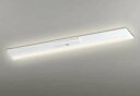 オーデリック XR506005R2E(LED光源ユニット別梱) ベースライト W230 非調光 リモコン別売 LEDユニット交換型 電球色 直付型