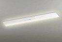 オーデリック XR506005R5E(LED光源ユニット別梱) ベースライト W230 非調光 リモコン別売 LEDユニット交換型 電球色 直付型