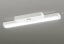 オーデリック XR506007R1A(LED光源ユニット別梱) ベースライト 非調光 リモコン別売 LEDユニット交換型 昼光色 直付型