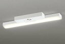 オーデリック XR506007R1E(LED光源ユニット別梱) ベースライト 非調光 リモコン別売 LEDユニット交換型 電球色 直付型