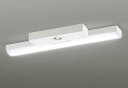オーデリック XR506007R4A(LED光源ユニット別梱) ベースライト 非調光 リモコン別売 LEDユニット交換型 昼光色 直付型