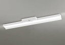 オーデリック XR506011R1B(LED光源ユニット別梱) ベースライト 非調光 リモコン別売 LEDユニット交換型 昼白色 直付型