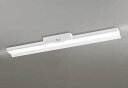 オーデリック XR506011R2C(LED光源ユニット別梱) ベースライト 非調光 リモコン別売 LEDユニット交換型 白色 直付型