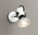 オーデリック OG044111P1 エクステリア スポットライト ランプ別売 LEDランプ 防雨型 オフホワイト