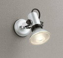 オーデリック OG044113P1 エクステリア スポットライト ランプ別売 LEDランプ 防雨型 マットシルバー