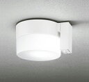 オーデリック OG254989NCR(ランプ別梱) エクステリア ポーチライト LEDランプ 昼白色 高演色LED 人感センサー付 防雨型 オフホワイト