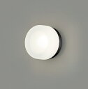 東芝ライテック LEDB85905(K) アウトドア ポーチ灯 LEDユニット フラット形 天井・壁面兼用 ブラック ランプ別売