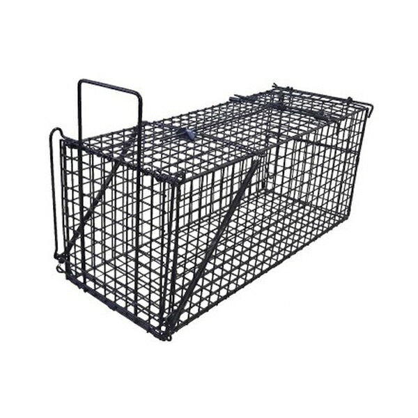 シンセイ/SHINSEI TA-41 アニマルキャッチャーLL 釣り餌式箱罠 アライグマ アナグマ ハクビシン♪