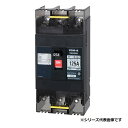 テンパール工業 B122EC10F 配線用遮断器 経済タイプ Eシリーズ 125AF 2P2E 100-100/200-200-415V 100A 埋込形 ※受...