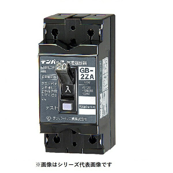 テンパール工業　2ZA1015　漏電遮断器 小型漏電遮断器 OC付 30AF 2P2E 100-100/200-200V 10A 15mA [￡￡]