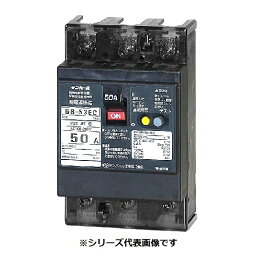 テンパール工業　53EC3030F　漏電遮断器 経済タイプ Eシリーズ OC付 埋込形 50AF 3P3E 100-200V 30A 30mA [￡￡]