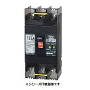 テンパール工業 102EC1015F 漏電遮断器 経済タイプ Eシリーズ OC付 埋込形 100AF 2P2E 100-200V 100A 15mA ※受注品 ...