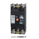 テンパール工業 122EC12W2S 漏電遮断器 経済タイプ Eシリーズ OC付 裏面形 125AF 2P2E 100-200V 125A 100/200/50...