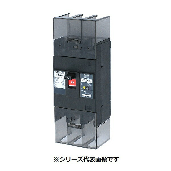 テンパール工業　222EA12W2LF　漏電遮断器 経済タイプ Eシリーズ OC付 埋込形 225AF 2P2E 200-415V 125A 100/200/500mA ※受注品 [§￡￡]