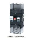 テンパール工業 U22301EA22W2LV 漏電遮断器 単3中性線欠相保護付 OC付 表面形 225AF 3P2E 100/200V 225A 100/200...