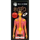 【メール便(300円)対応 1〜3個まで】【日進医療器】 きくばりゴールド 30本入