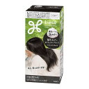 【花王】リーゼ 泡カラー髪色もどし ナチュラルブラック(115mL)(医薬部外品)