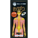 【メール便(300円)対応 1〜3個まで】【日進医療器】 きくばりゴールド 10本入