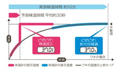 【TERUMO】テルモ 電子体温計 C205予測式　平均約30秒予測