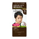 【マンダム】 ルシード(LUCIDO)ワンプッシュケアカラー ダークブラウン(医薬部外品)※お取り寄せ・発送まで3~4日お時間を頂いております。