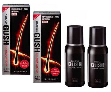 【第3類医薬品】【数量限定2本セット】(送料無料・沖縄・北海道は対象外)NFカロヤンガッシュ 無香料 240ml×2本セット