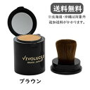 【VIVOLUCE β】ヴィヴォルチェ ベータ ブラウン(4g)ブラシ内蔵型 日焼け止め SPF50+/PA++++ ※北海道・沖縄は追加送料がかかります。