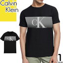 カルバンクライン Calvin Klein Tシャツ 半袖 クルーネック 丸首 メンズ CK ロゴ プリント コットン おしゃれ 大きいサイズ ブランド プレゼ...