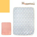 Hoppetta ホッペッタ ふくふくガーゼ 6重ガーゼ ガーゼケット ベビーサイズ ベビーケット ブランケット 日本製 ベビー 赤ちゃん 新生児 子供 夏 冬 寝冷え防止 通気性 吸水性 出産祝い 男の子 …