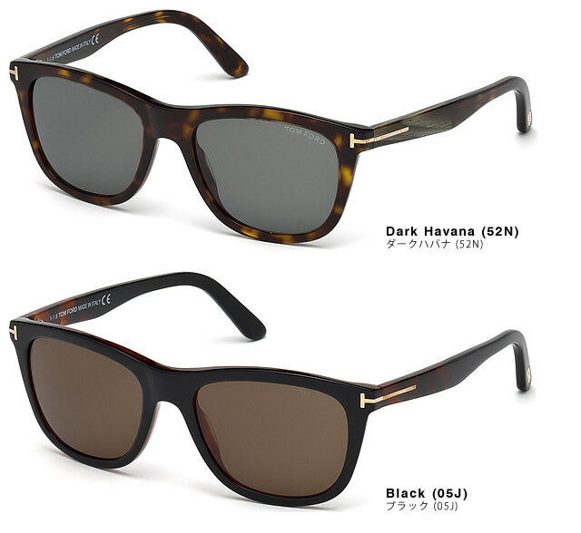トムフォード TOM FORD サングラス アンドリュー メンズ レディース ブランド アジアンフィット ウェリントン 薄い 色 UVカット おしゃれ 紫外線対策 Andrew FT0500 TF500 [S]