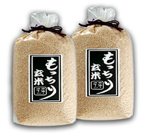 もっちり玄米　10kg（5kg×2袋）【国内産 ミルキークイ