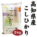 高知県産こしひかり　5kg