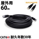 LANケーブル 屋外 60m CAT6A LAN コネクタ POEハブ 【耐候性 難燃性 2重被覆 POE対応 ツメの折れないコネクタ付 ランケーブル vacan】