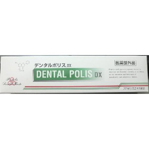 薬用デンタルポリスDX(DENTALPOLISDX)80g-