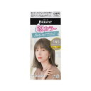 ブローネ 泡カラー 1NS ナチュラリーシアーアッシュ(108ml) 白髪用ヘアカラー 白髪染め