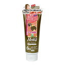 三宝 テンスター カラートリートメント 250g アッシュダークブラウン ヘアカラー 三宝商事