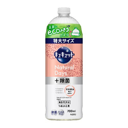 LLbg Hp i`fCY Cht[n[u ߂p(700ml) 䏊  Lb` H