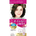 【医薬部外品】ダリヤ サロンドプロ 無香料ヘアカラー 早染め乳液（白髪用）5A ヘアカラー カラーリング 白髪染め