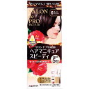サロンドプロ 白髪用 ヘアマニキュア・スピーディ 6 ダークブラウン(1セット) 白髪隠し