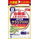 小林製薬のサラシア100 大容量(120粒) 血糖値 特定保健用食品 サプリメント